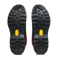 Blaze Scout MID GTX obuv